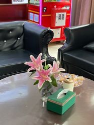 -太原丽都医疗美容医院