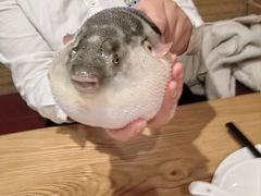 -永安鱼庄·镇江菜(丁卯店)