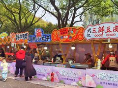 -高东镇樱花园
