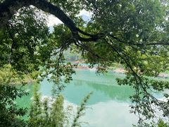 -广州市流溪河国家森林公园