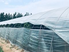-庞各庄西瓜蔬菜采摘园·锦华瓜园