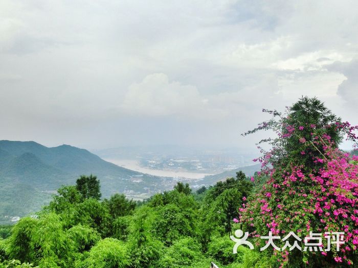 vicki_song上传的图片