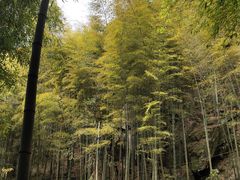 -藏龙百瀑风景区