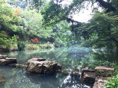 -张鸟园农家乐(张鸟园店)