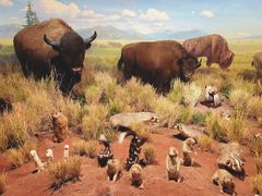 -陕西自然博物馆