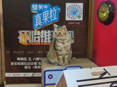 -H立方实景剧情密室(天河旗舰店)