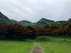 -五泄景区