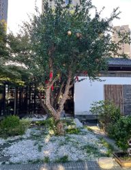 -保丽宝泰母婴护理院·月子中心·产康·中医(常州店)