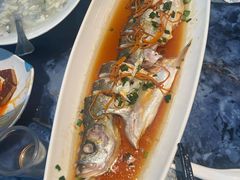 -桃鲤·风味民间家宴淳鱼馆(千岛湖店)