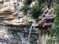 -鹿院坪生态旅游景区