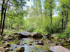 -玉渡山自然风景区