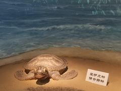 -嘉定博物馆