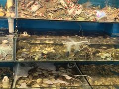 -仙螺岛海鲜自助餐厅(总店)