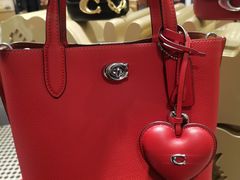 -COACH蔻驰(恒隆广场店)