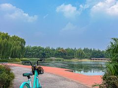 -升仙湖公园