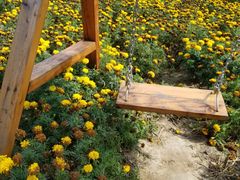 -百花人家(清水田园店)