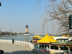 -溱湖国家湿地公园