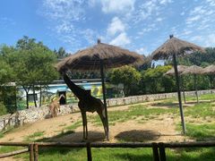 -北京野生动物园