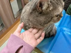 -瑞鹏宠物医院·宠保定点·心脏科·内科(御桥分院)