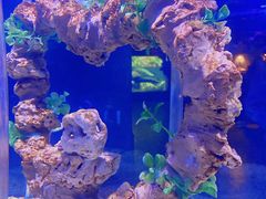 -太平洋海底世界