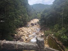 -姑婆山旅游区