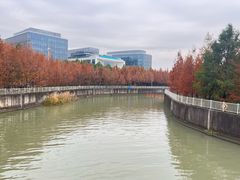 -上海山野camping·户外天幕烧烤·团建拓展营地