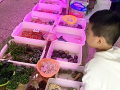 -双季花艺园艺市场(浦东店)
