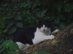 -广州市白云山风景名胜区