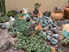 -正佳雨林生态植物园