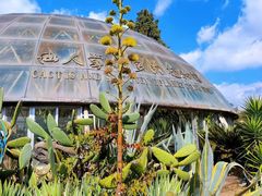 -昆明市金殿名胜区