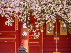 -故宫博物院(故宫)
