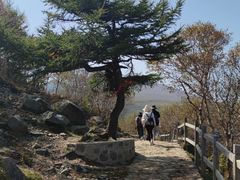 -灵山