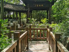 -上海佘山国家森林公园天马山园