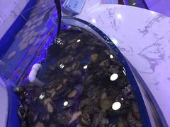 -澜悦港海鲜体验主题餐厅