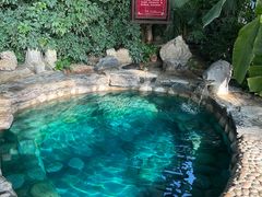 -中家鑫园温泉酒店鑫悦汤泉