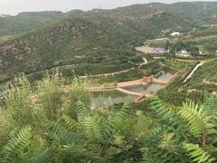 -五龙城郊森林公园