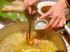 -汤城·料青山