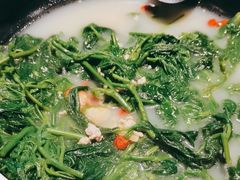 -羽鸽集·乳鸽专门店·地道顺德菜(岭南站店)