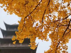 -常熟方塔园