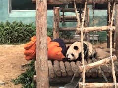 -大连森林动物园