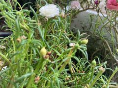 -金沙湾KTV(丽悦新天店)