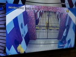 -疯狂的麦咭(长沙店)