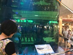 -尚泰清迈机场购物中心