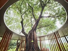 -云溪植物园