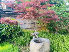 -新荣记(西溪湿地店)