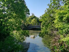 -桃花岛景观公园