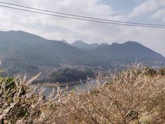 -广州市流溪河国家森林公园
