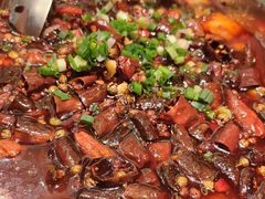 毛肚血旺-大鸭梨烤鸭(甘家口店)