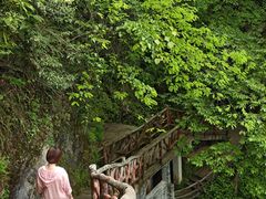 -鹿院坪生态旅游景区