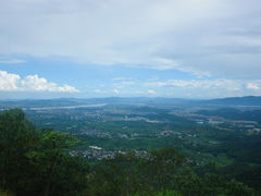 -龙坞茶村